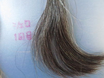 シエロカラートリートメント　1回目　白髪30%の髪