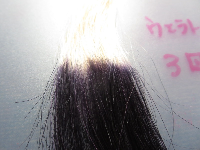 ウエラトーン ヘアカラートリートメントで実際に白髪テスターを染めてみました。3回目　 白髪100%紫色が目立つ